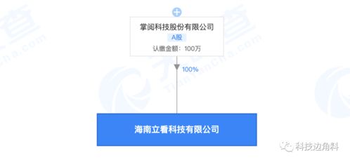 掌閱科技海南新設子公司 布局科技中介服務，注冊資本100萬元