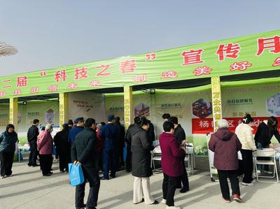 聚焦楊凌&ldquo;雙交會(huì)&rdquo; | &ldquo;科技之春&rdquo; 農(nóng)味足 專家坐&ldquo;診&rdquo;開&ldquo;方&rdquo;忙