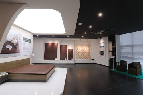 可喜安家庭喜迎新力量，健康咨詢服務為行業注入新活力